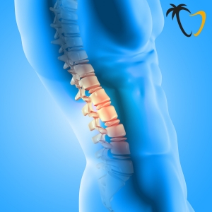 Lumbar Spine