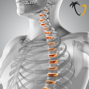 Thoracic Spine